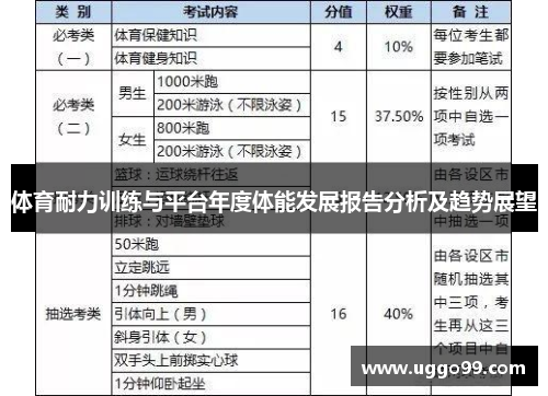 体育耐力训练与平台年度体能发展报告分析及趋势展望